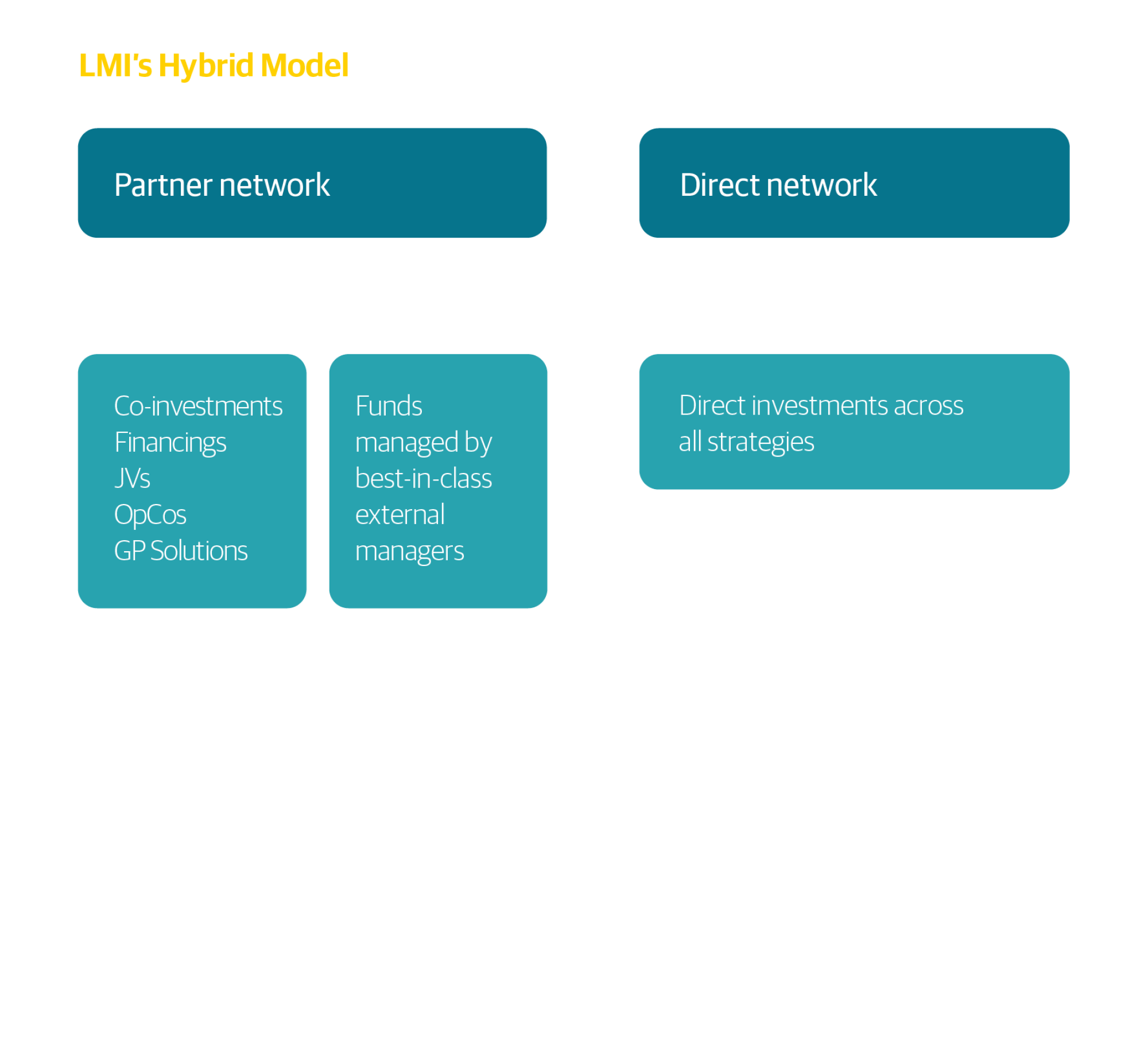 LMI Hybrid Model